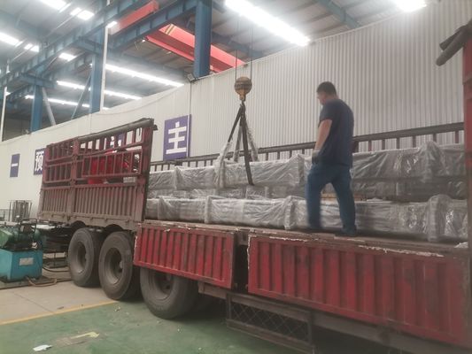 주문 제작된 로드 타입은 하향식 스프레이 금속 플런저를 펌핑합니다