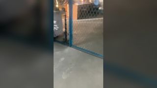 빨판 막대 펌프의 예비 부품 플런저