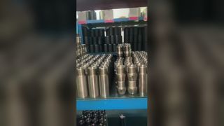 빨판 막대 펌프 부품의 예비