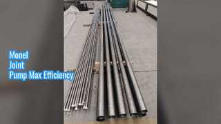 API 11AX 빨판 막대 펌프 모넬 조인트 플런저